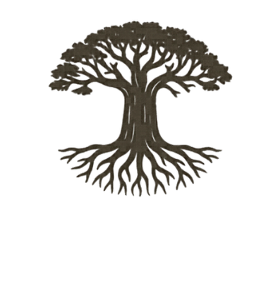 koyakacoffee.com